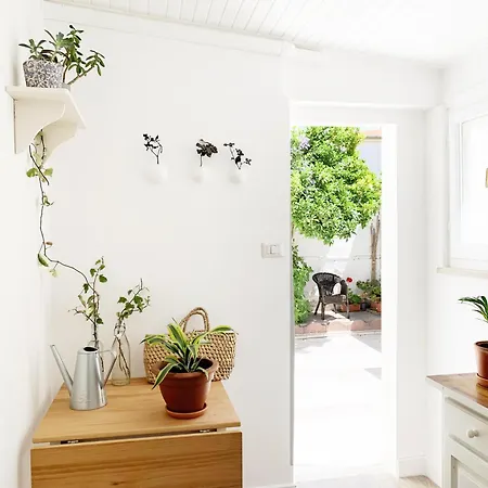 Tap - In Independent House With Private Garden Lejlighed Alghero