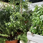 Appartamento Tap - In Independent House With Private Garden Alghero