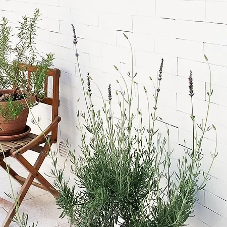Tap - In Independent House With Private Garden Appartement