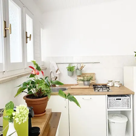 Apartment Tap - In Independent House With Private Garden
