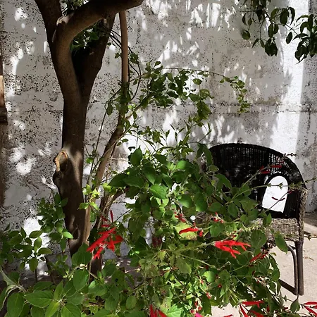 Appartement Tap - In Independent House With Private Garden