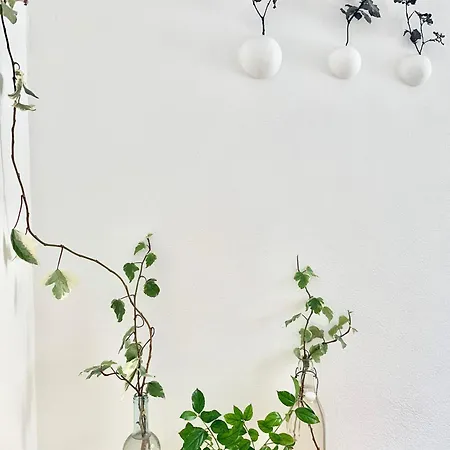 Tap - In Independent House With Private Garden Appartement