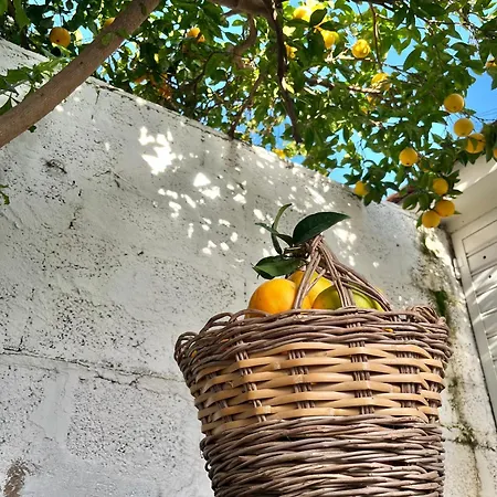 Apartment Tap - In Independent House With Private Garden Alghero