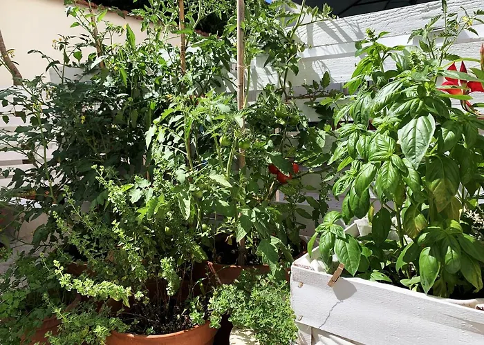 Апартаменты Tap - In Independent House With Private Garden Альгеро